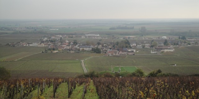 Vosne-Romanée 20131116 vingårdar från höjden