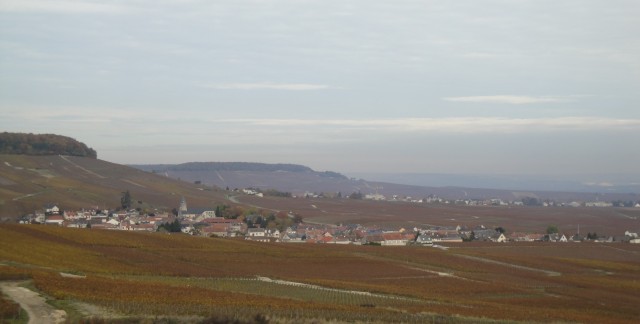 Le Mesnil-sur-Oger and vineyards from SW 20111029b